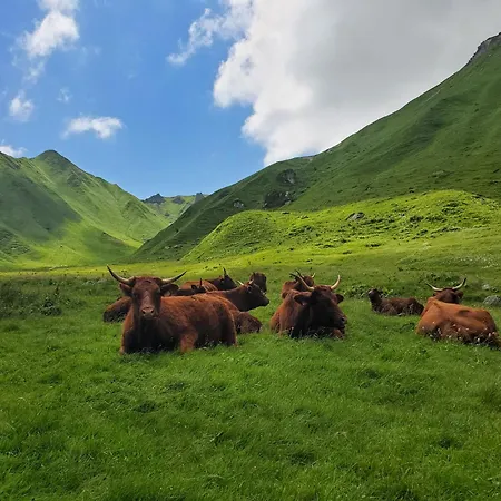 Mobilhome Au Coeur De L'auvergne